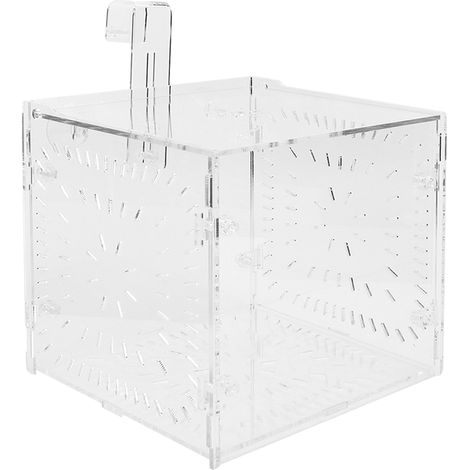 Boîte élevage semis pour aquarium 15 15 15 cm - qualité durable, usage facile, matériau résistant, pour eau douce et eau de mer (1/5)