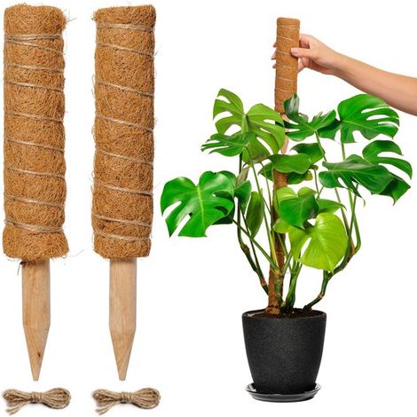 Tuteur en mousse pour plantes - Extensible jusqu'à 50 cm - Idéal pour les Monstera, Pothos et autres - 2 x 30 cm - Corde de jute de 30 cm incluse (1/5)