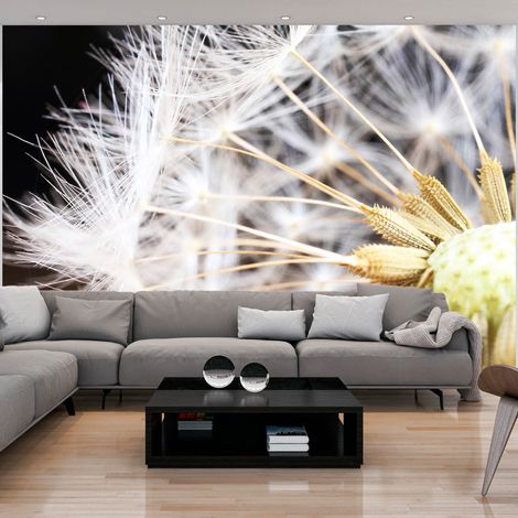 Fotomurale - Fluffy dandelion - 250x175 (1/4)