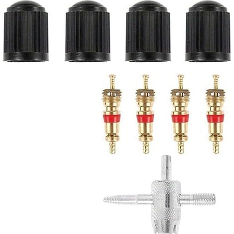 Demonte Obus Valve Outil Clé Capuchons Embouts Vélo Voiture Moto Camion (1/5)
