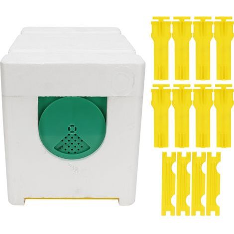 Reine Abeille Boîte d'Accouplement Ruche Pollinisation Mousse Cadres Outil Apiculture Équipement Apicole