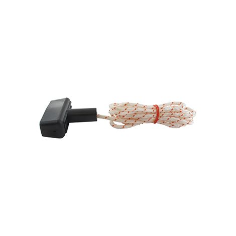 Jeu Lanceur +corde Adaptable Briggs & Stratton Pour Modèles Plusieurs Modeles. Remplace Origine: 334985.