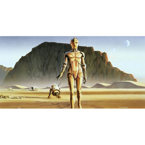 Papier peint panoramique moderne Star Wars Classique RMQ Droïdes (1/4)