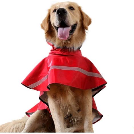 Imperméable ajustable pour chien avec capuche et éléments réfléchissants (1/4)
