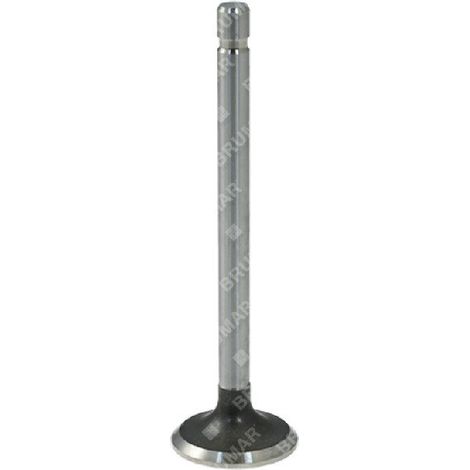 Valvola di scarico per motori BRIGGS & STRATTON Compatibile - 011880