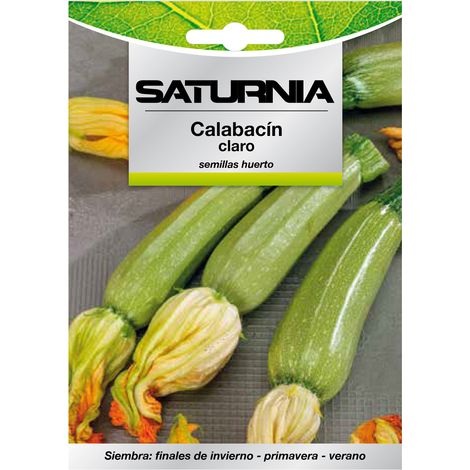 Semi di Zucchino Verde Scuro (5 grammi) Semi di Ortaggi, Orticoltura, Orticola, Semi di Ortaggi. (1/2)