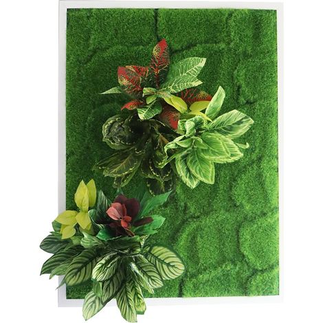 Garden Point - Bello Horizonte 60x80 - Giardino verticale 3D (1/5)