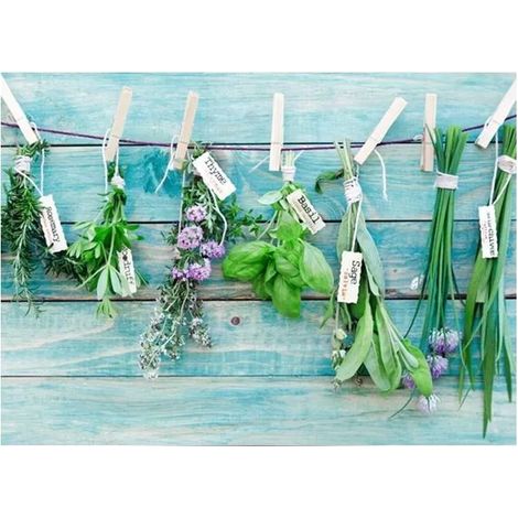 sticker per piano cottura "kp herbes" erbe aromatiche - 47x65 cm (1/2)