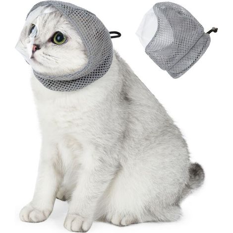 Coiffe anti-léchage pour chat (1/5)