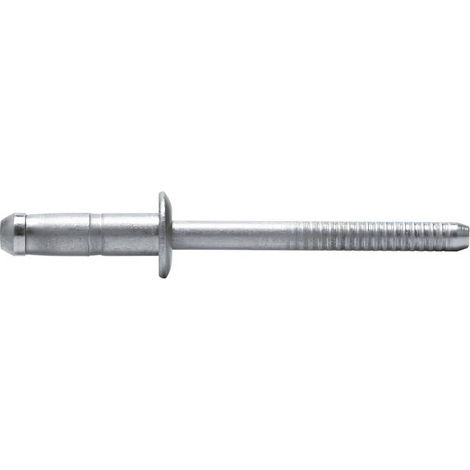 500 Rivets Aveugles Haute Résistance Tête Ronde GOMUST 4 x 12 mm - Inox A2 - D-Work