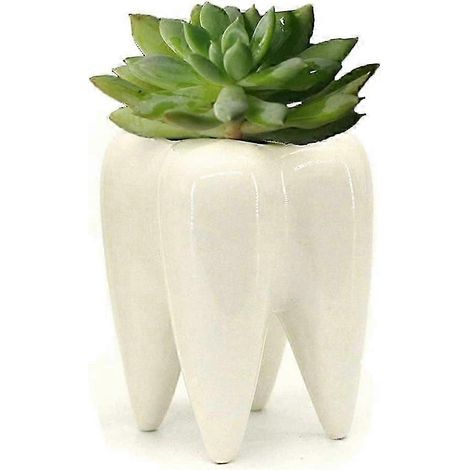 Mini support pour plante d'intérieur au design élégant, idée cadeau originale pour la décoration d'un cabinet dentaire, pot de fleurs en céramique respirante en forme de dent - Yvan (1/5)