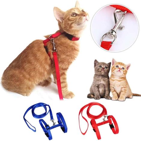 Set aus 2 Haustierleinen und -geschirren, robuste und verstellbare Nylonriemen, für Katzen, ideal für Spaziergänge.