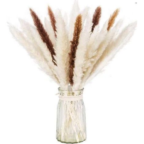 lot Sch Naturel D'herbe De Pampa Sche Pour La Dcoration Intrieure 30pcs (1/5)