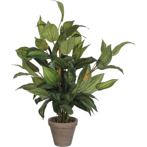 Maceta de hosta verde, 15,5 x 65 cm (1/2)