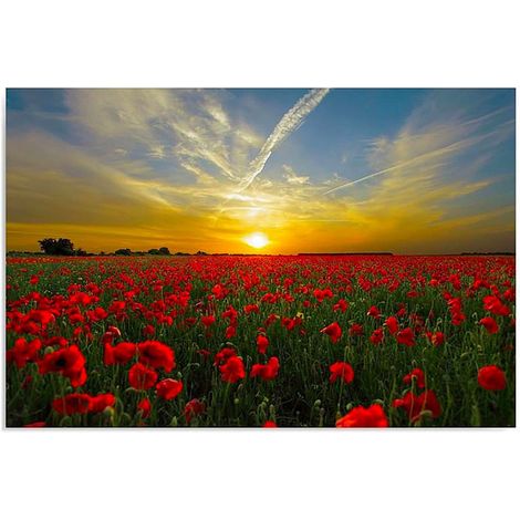 Tableau coquelicots au coucher du soleil - 70 x 50 cm (1/5)