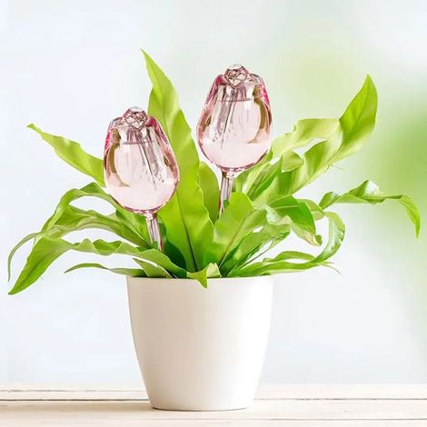 (1 pièce) Dispositif d'arrosage automatique pour tulipes de jardin créatif : boule d'arrosage rose en plastique, goutteur et arrosage automatique. (1/4)
