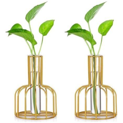 Station De Propagation en Verre avec Cadre en Métal, Lot De 2 Vase à Fleurs, Vase à Tube à Essai pour Plante Hydroponique, Petit Vase à Bourgeon pour Décoration De Table De Bureau (1/5)