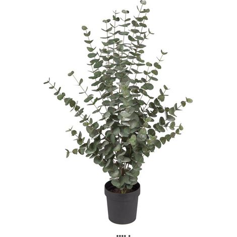 Eucalyptus cinerea artificiel en pot H 110 cm, D 70 cm - dimhaut: H 110 cm (1/3)