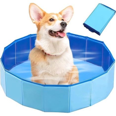Piscina para perros de 60x20 cm - Plegable y antideslizante. (1/5)