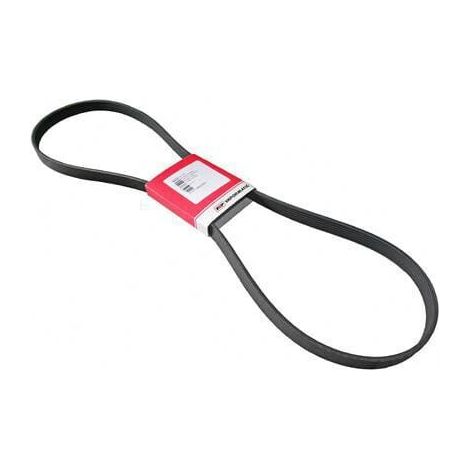 Cinghia ventilatore VAPORMATIC VPE6321