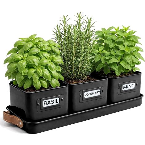 Jardinière Herbes Aromatiques avec Poignée en Cuir - Idéal pour Basilic en Pot Herbes Aromatiques à Planter - avec Bac de Récupération et Trou de Drainage (Noir) (1/5)
