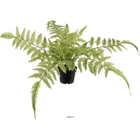 Fougère des forêts osmuda regalis artificielle en pot, H 40 cm (1/3)