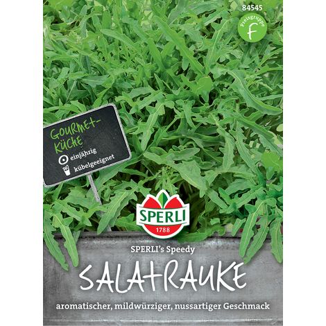 Sperli Salatrauke Speedy - Gemüsesamen (1/3)