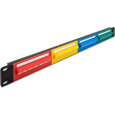 Delock Panel de Conexiones de 19 de 24 puertos Cat.5e 1U de colores