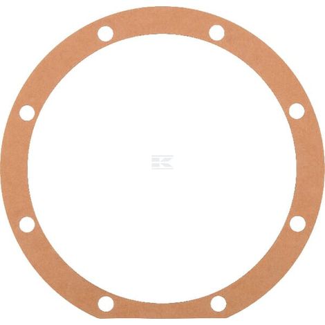 Junta 0.5 mm M19100207R MASCHIO M19100207R