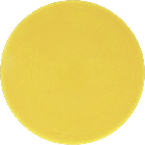 Lot de 10 marqueurs plats antidérapants jaune vif pour entraînement tennis football (1/5)
