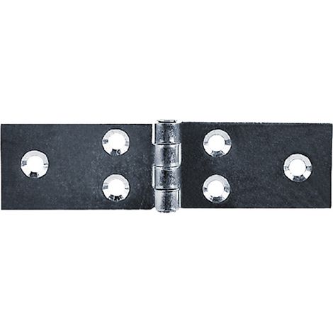 24PZ CERNIERA ALI LUNGHE ART.122 mm 29 x 100