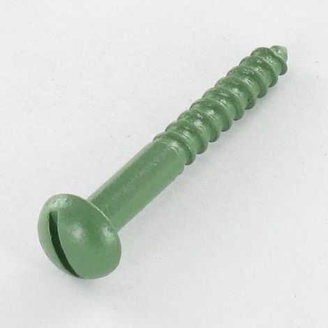 Vis bois Tête ronde TR Fendue 4X30 Acier zingué LAQ Vert RAL6011 vert reseda-1 pièce