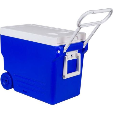 32L Portable Electric Cooler, Mini Refrigerator, for Car, Camping, Cooler Box, Ice Cooler (1/5)