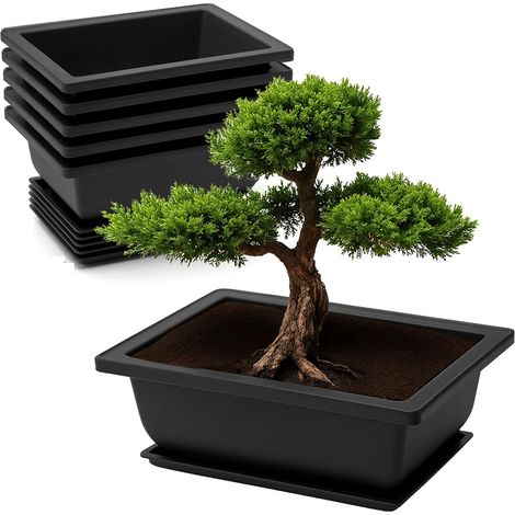 (6 Pièces) Pot à Bonsaï avec Plateaux et Ensemble D'outils de Jardinage, 16× 12 × 6 Cm Petit Pot de Fleur Plastique Réutilisable pour Jardins (1/4)