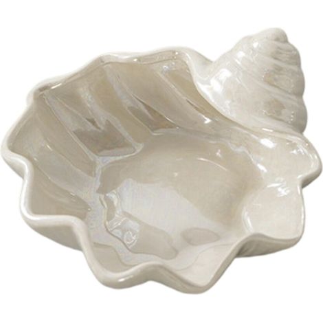 Un plato único con un diseño de concha marina sobre el tema de la caracola.