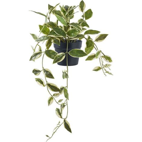 Voksblomst art en bois hauteur 33cm vert. (1/5)