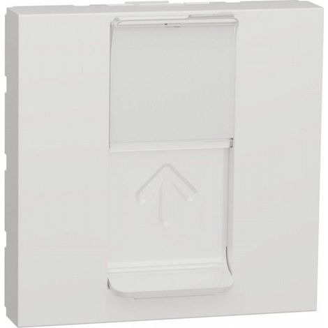 Abdeckung RJ45 2 polare Keystone-Module SCHNEIDER NU946118
