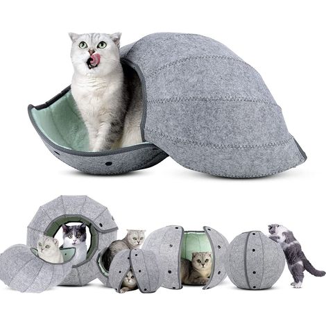 Maisonnette en forme de coquillage pour chat, balle interactive, grotte douce, tunnel pliable, lit-jouet multifonctionnel amusant pour chiots et chats (1/5)
