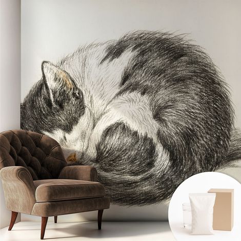 Papier peint décoratif avec colle pour salon, chambre à coucher et bureau – Design moderne et facile à poser Charmant chaton 250x250 cm (1/5)