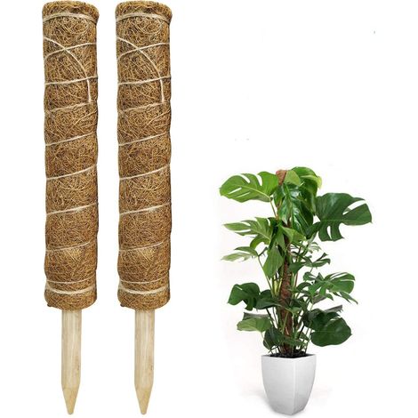 2 tuteurs en mousse de 41 cm, avec 10 étiquettes pour plantes (nom de la plante, période de plantation), support en fibre de coco pour Monstera, Maison et Jardin, rallonge pour tuteur en coco (1/5)