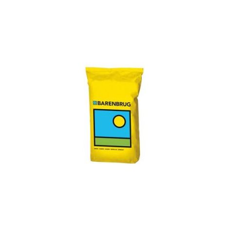 Firecracker Festuca arundinacea – Prato Verde, Denso e Resistente Barenbrug 15kg