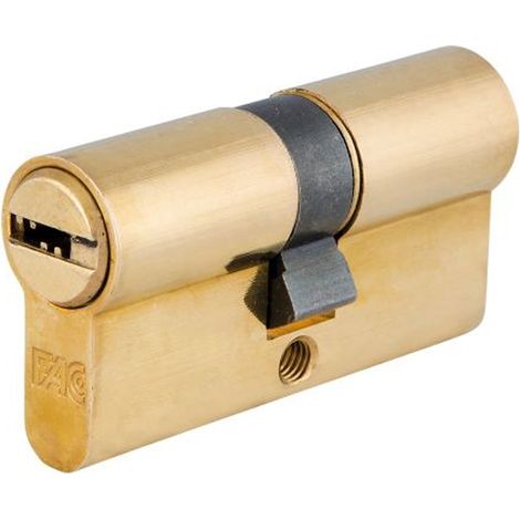 FAC bombillo 60p 30x30x15 230376 laton , Bombillo  de seguridad 60P de latónMedidas 60mm ( 30&4330mm)Leva larga de 15mmCon 5 llaves de puntos de 6 claves. (1/2)