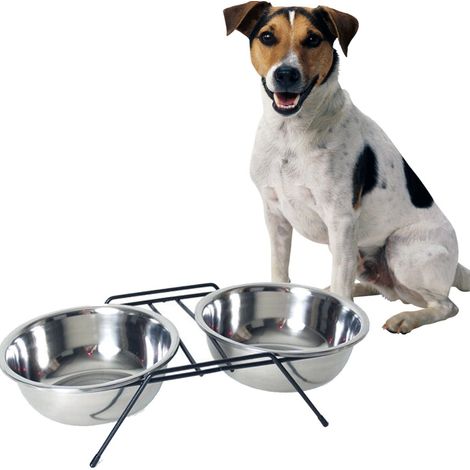 Gamelle Double Pour Chien 20 Cm Avec Porte Nourriture Eau Acier (1/2)