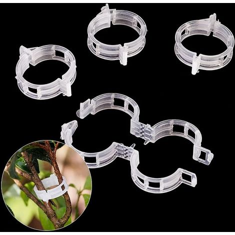 Lot de 200 tuteurs pour plantes, mini-tuteurs en plastique pour tomates et rosiers (1/5)