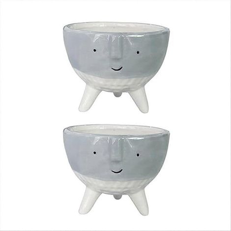 Jardinière pot lot de 2 Face (1/5)