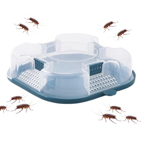 Piège à Cafards Réutilisable, Appât Anti-Nuisibles Non Toxique pour Cuisine et Salle de Bain (1/5)