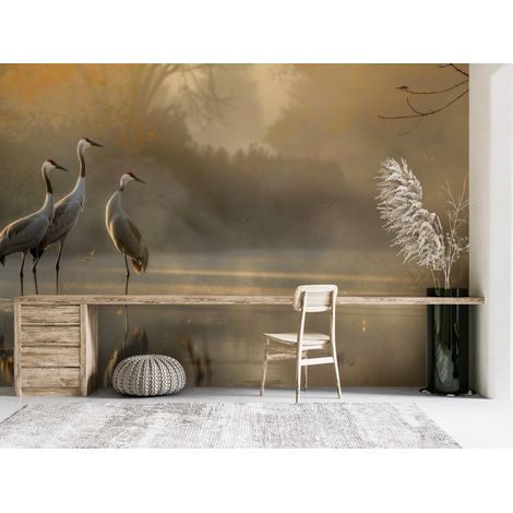 Papier peint animaux grues cendrees au bord de leau - 500 x 270 cm (1/2)