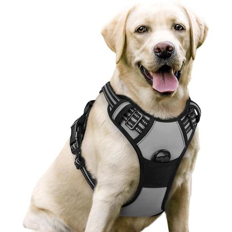 Harnais chien anti-traction Rabbitgoo L gris réglable réfléchissant attache avant (1/5)