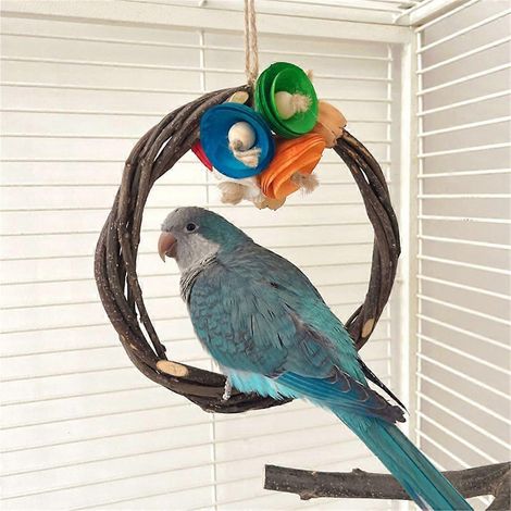 Balançoire pour oiseaux en bois naturel, support de balançoire durable en branches, perchoirs et bâtonnets à mâcher (1/4)