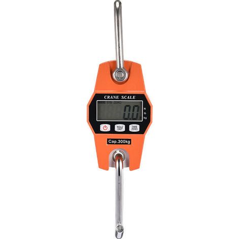 Peson Electronique 300kg Balance Crochet Suspendu Dynamomètre LCD Crochet Peseur Industrielle Pèse Poids 300kg/600lbs (1/5)